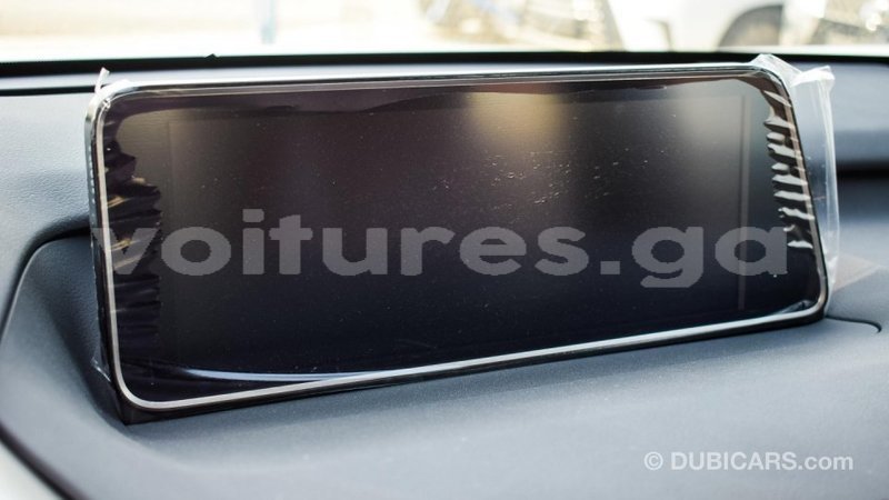 Big with watermark lexus rx 300 estuaire import dubai 4445