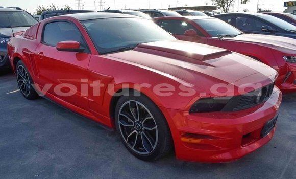 Acheter Import Voiture Ford Mustang Rouge à Import - Dubai, Estuaire Acheter Import Voiture Ford Mustang Rouge à Import - Dubai, Estuaire