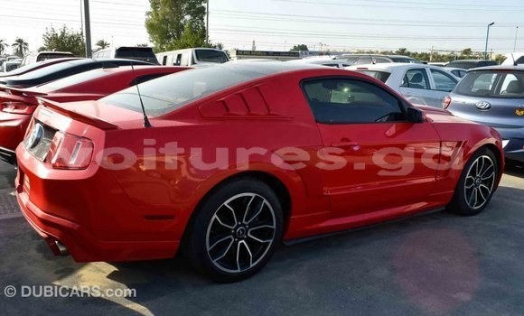 Acheter Import Voiture Ford Mustang Rouge à Import - Dubai, Estuaire Acheter Import Voiture Ford Mustang Rouge à Import - Dubai, Estuaire
