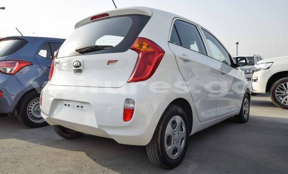 Acheter Import Voiture Kia Picanto Blanc à Import - Dubai, Estuaire Acheter Import Voiture Kia Picanto Blanc à Import - Dubai, Estuaire