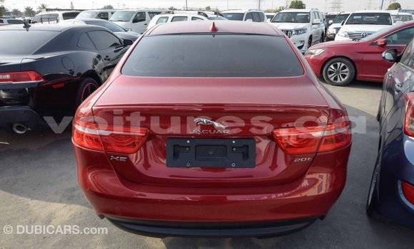 Acheter Import Voiture Jaguar XE Rouge à Import - Dubai, Estuaire Acheter Import Voiture Jaguar XE Rouge à Import - Dubai, Estuaire