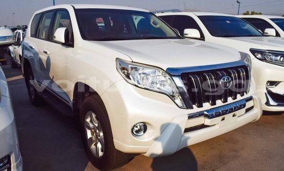 Acheter Import Voiture Toyota Prado Blanc à Import - Dubai, Estuaire Acheter Import Voiture Toyota Prado Blanc à Import - Dubai, Estuaire