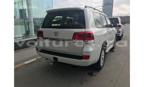 Buy Import Toyota Land Cruiser White Car in Import - Dubai in Estuary Buy Import Toyota Land Cruiser White Car in Import - Dubai in Estuary