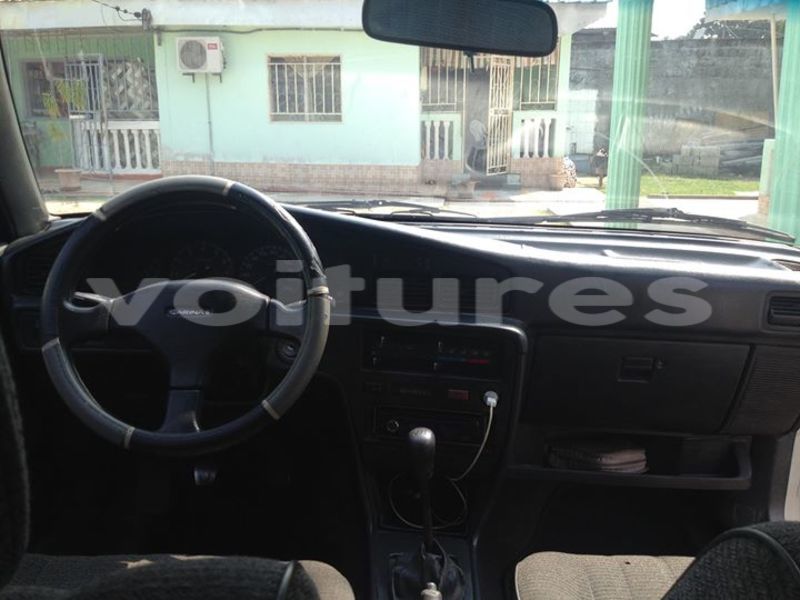 Big with watermark 20264555 486518065023026 4647407434506856133 n