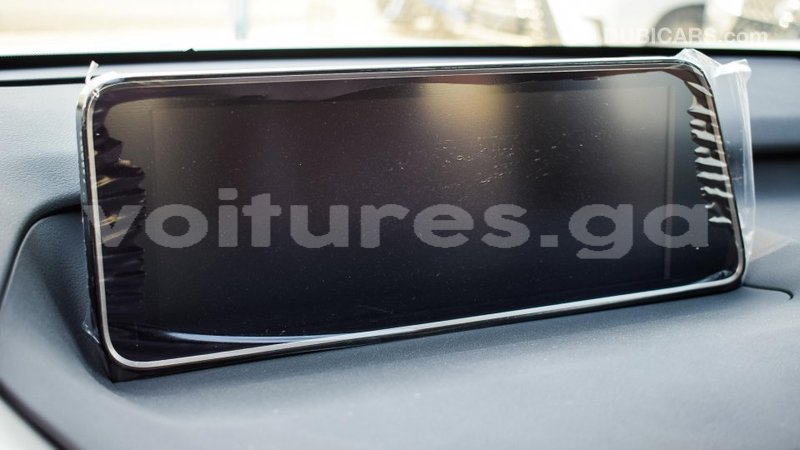 Big with watermark lexus rx 300 estuaire import dubai 4705