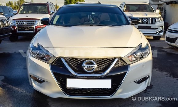Acheter Import Voiture Nissan Maxima Blanc à Import - Dubai, Estuaire Acheter Import Voiture Nissan Maxima Blanc à Import - Dubai, Estuaire