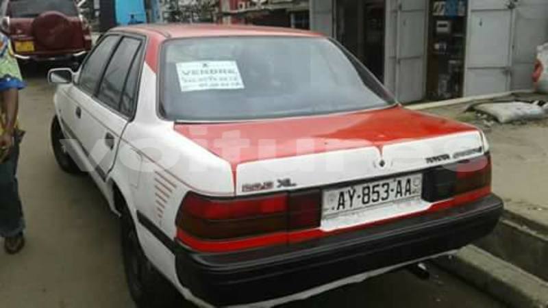 Big with watermark 20525895 332374110542066 3787053798425980260 n