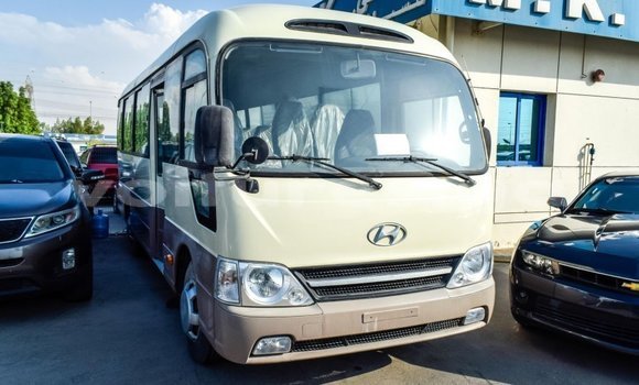 Acheter Import Utilitaire Hyundai Chorus Beige à Import - Dubai, Estuaire