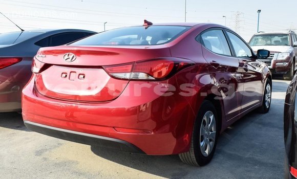 Acheter Import Voiture Hyundai Elantra Rouge à Import - Dubai, Estuaire Acheter Import Voiture Hyundai Elantra Rouge à Import - Dubai, Estuaire