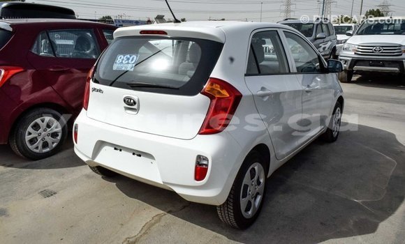 Acheter Import Voiture Kia Picanto Blanc à Import - Dubai, Estuaire Acheter Import Voiture Kia Picanto Blanc à Import - Dubai, Estuaire