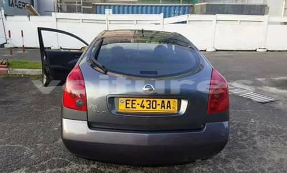 Acheter Occasion Voiture Nissan Primera Autre à Libreville, Estuaire