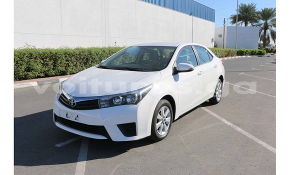 Acheter Import Voiture Toyota Corolla Blanc à Import - Dubai, Estuaire Acheter Import Voiture Toyota Corolla Blanc à Import - Dubai, Estuaire
