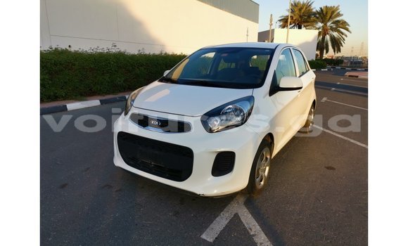 Acheter Import Voiture Kia Picanto Blanc à Import - Dubai, Estuaire Acheter Import Voiture Kia Picanto Blanc à Import - Dubai, Estuaire