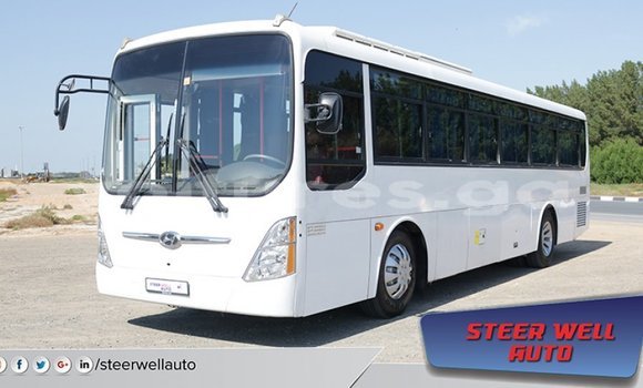 Acheter Import Utilitaire Hyundai Chorus Blanc à Import - Dubai, Estuaire