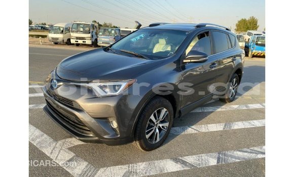 Acheter Import Utilitaire Toyota HiAce Autre à Import - Dubai, Estuaire Acheter Import Utilitaire Toyota HiAce Autre à Import - Dubai, Estuaire