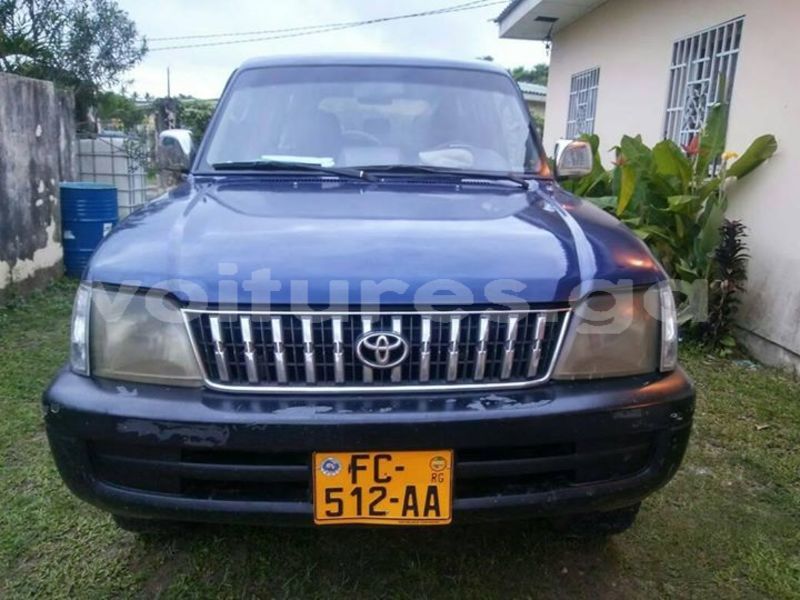 Big with watermark 25075045 1436706473124388 2663118157098388861 o