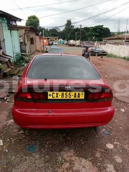 Big with watermark 25075045 1436706473124388 2663118157098388861 o