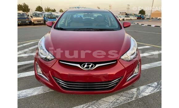 Acheter Import Voiture Hyundai Elantra Rouge à Import - Dubai, Estuaire Acheter Import Voiture Hyundai Elantra Rouge à Import - Dubai, Estuaire