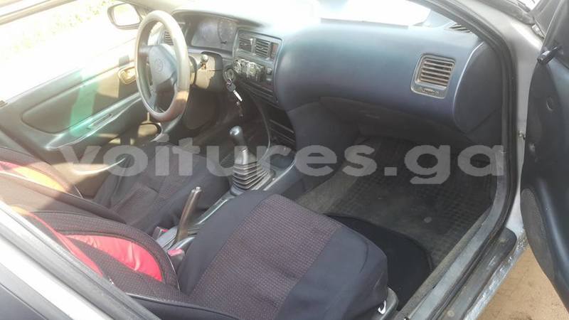 Big with watermark 25075045 1436706473124388 2663118157098388861 o