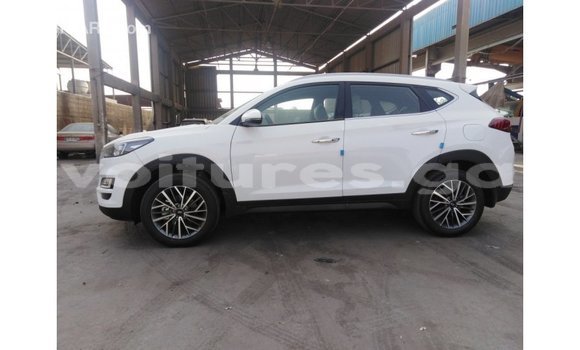 Acheter Import Voiture Hyundai Tucson Blanc à Import - Dubai, Estuaire Acheter Import Voiture Hyundai Tucson Blanc à Import - Dubai, Estuaire