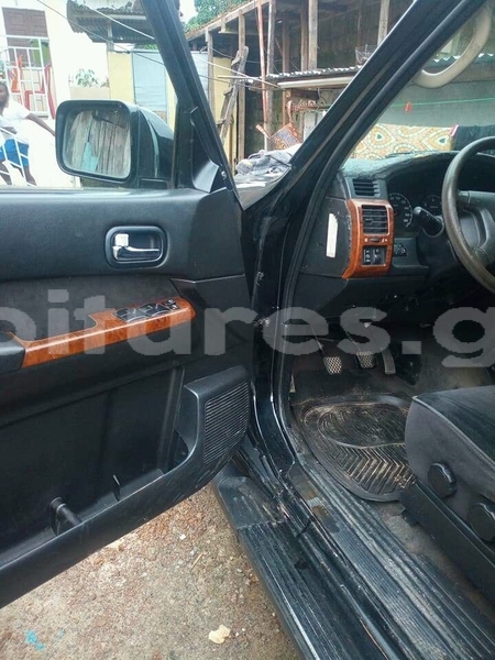 Big with watermark patrol 4