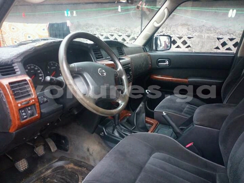 Big with watermark patrol 5