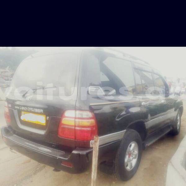 Big with watermark abf09f91 fd25 4c0c b11e e0d35dc627f2