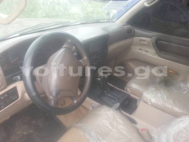 Big with watermark e128b375 ce7e 446d bc36 a64c693507a3