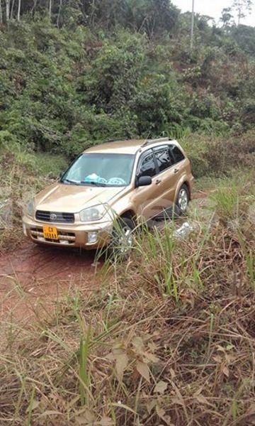 Big with watermark 24959109 1372679829509431 2290911251372580814 o