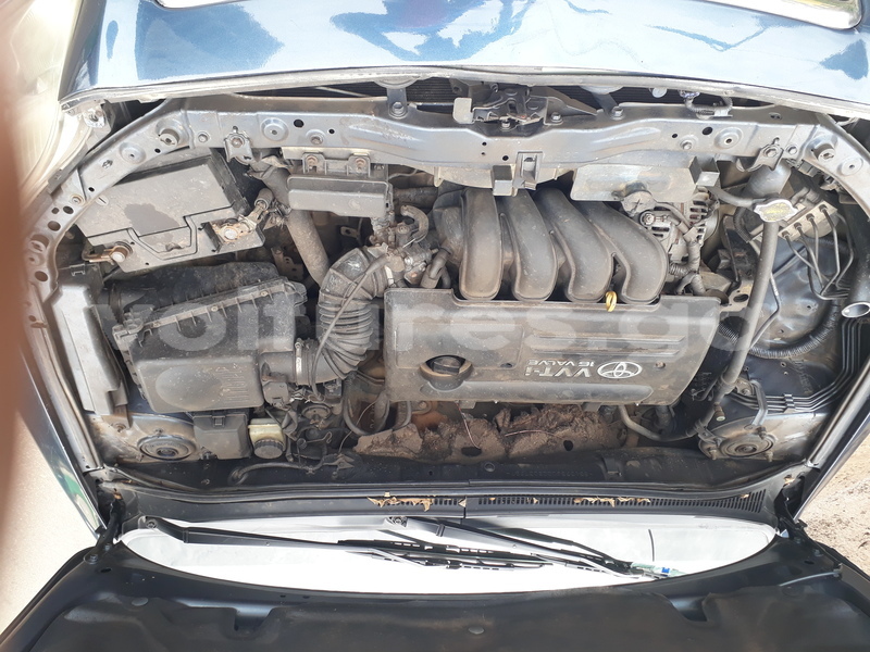 Big with watermark 20180318 113614