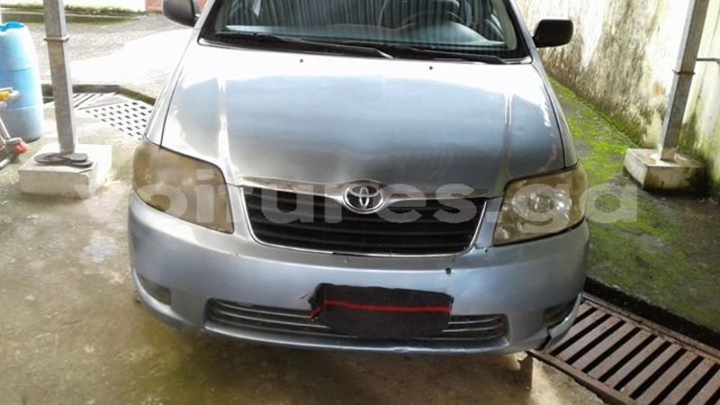 Big with watermark 30629329 194112211393369 244064733525704704 n