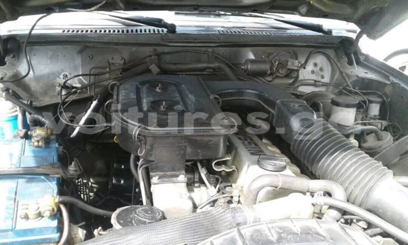 Big with watermark 30629329 194112211393369 244064733525704704 n