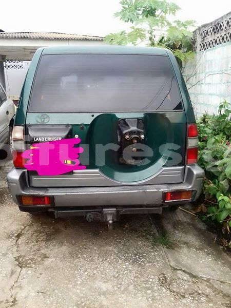 Big with watermark 30629329 194112211393369 244064733525704704 n