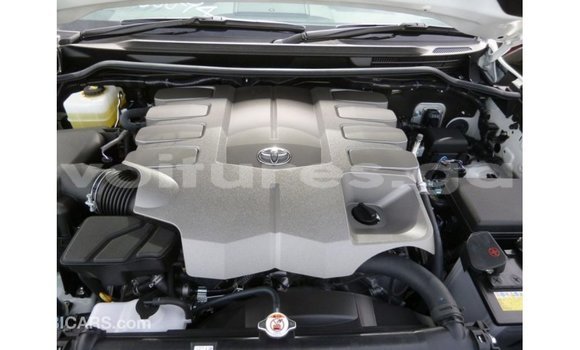 Buy Import Toyota Land Cruiser White Car in Import - Dubai in Estuary Buy Import Toyota Land Cruiser White Car in Import - Dubai in Estuary