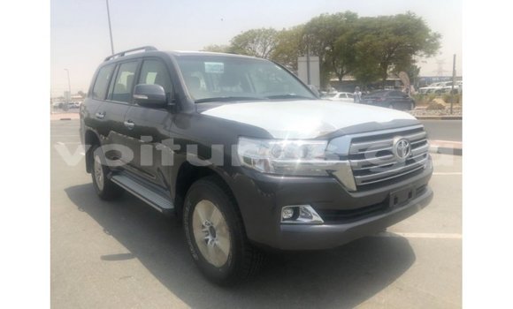 Buy Import Toyota Land Cruiser Other Car in Import - Dubai in Estuary Buy Import Toyota Land Cruiser Other Car in Import - Dubai in Estuary