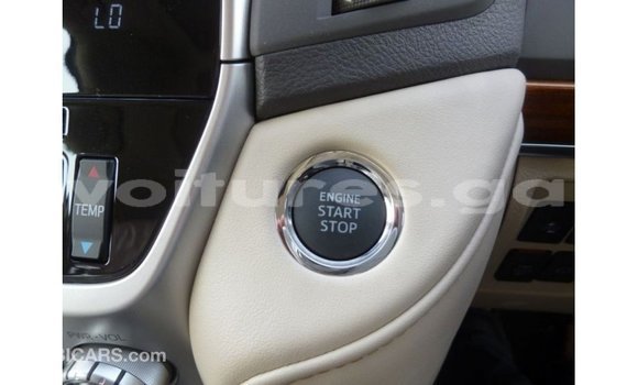Buy Import Toyota Land Cruiser White Car in Import - Dubai in Estuary Buy Import Toyota Land Cruiser White Car in Import - Dubai in Estuary