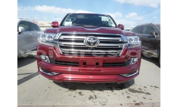 Buy Import Toyota Land Cruiser Red Car in Import - Dubai in Estuary Buy Import Toyota Land Cruiser Red Car in Import - Dubai in Estuary