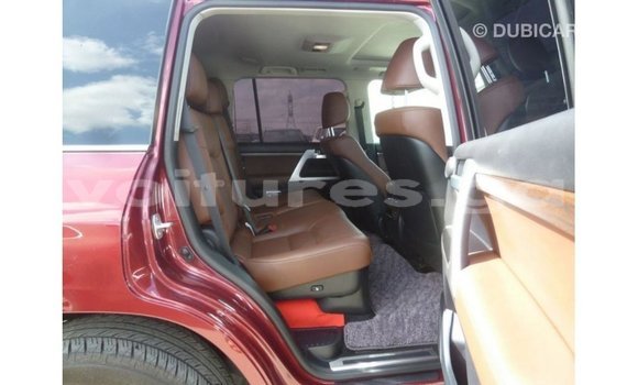 Buy Import Toyota Land Cruiser Red Car in Import - Dubai in Estuary Buy Import Toyota Land Cruiser Red Car in Import - Dubai in Estuary