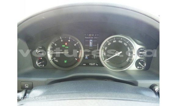 Buy Import Toyota Land Cruiser Red Car in Import - Dubai in Estuary Buy Import Toyota Land Cruiser Red Car in Import - Dubai in Estuary