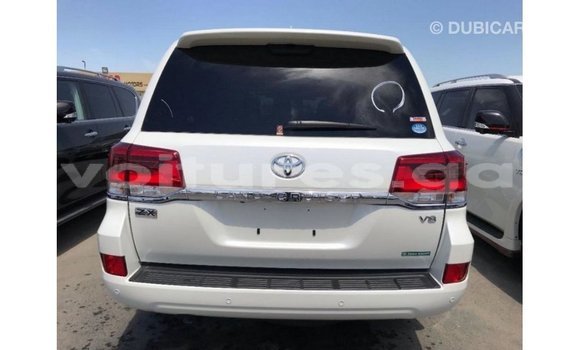 Sayi Imported Toyota Land Cruiser White Mota in Import - Dubai a estuary Sayi Imported Toyota Land Cruiser White Mota in Import - Dubai a estuary