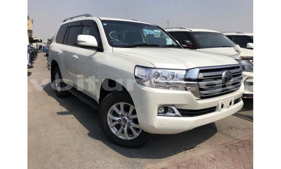 Buy Import Toyota Land Cruiser White Car in Import - Dubai in Estuary Buy Import Toyota Land Cruiser White Car in Import - Dubai in Estuary