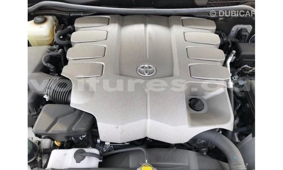 Buy Import Toyota Land Cruiser White Car in Import - Dubai in Estuary Buy Import Toyota Land Cruiser White Car in Import - Dubai in Estuary
