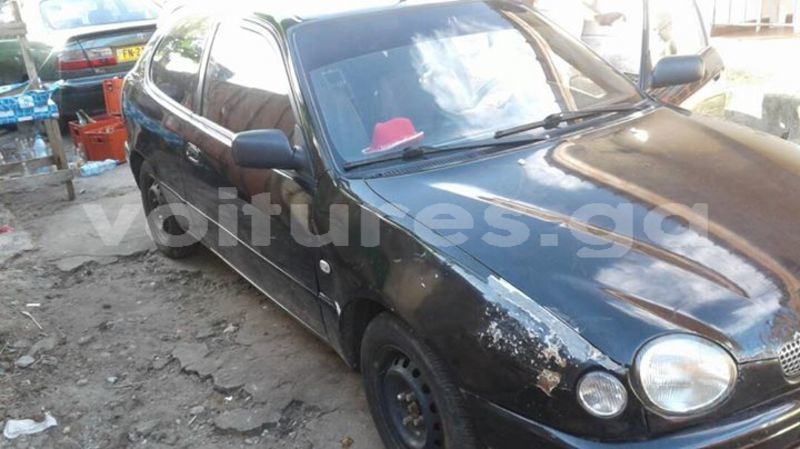 Big with watermark 30623955 578122035882356 6857030771144654848 n