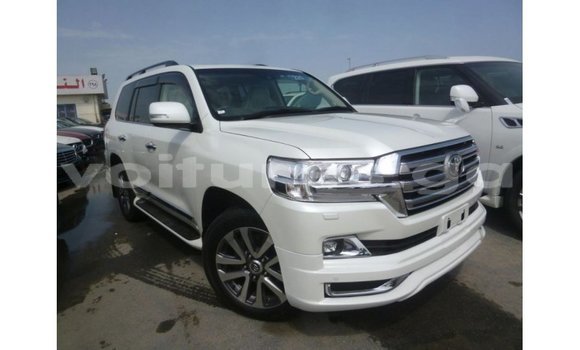 Sayi Imported Toyota Land Cruiser White Mota in Import - Dubai a estuary Sayi Imported Toyota Land Cruiser White Mota in Import - Dubai a estuary