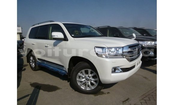 Sayi Imported Toyota Land Cruiser White Mota in Import - Dubai a estuary Sayi Imported Toyota Land Cruiser White Mota in Import - Dubai a estuary
