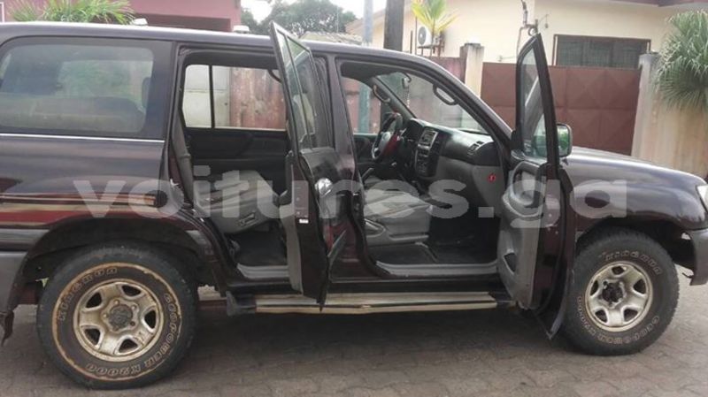 Big with watermark 30629329 194112211393369 244064733525704704 n