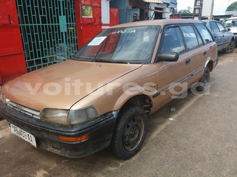 Big with watermark 30623955 578122035882356 6857030771144654848 n