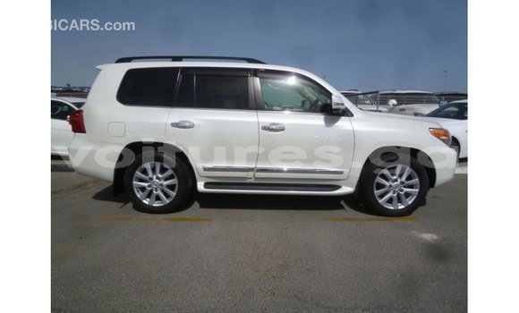 Buy Import Toyota Land Cruiser White Car in Import - Dubai in Estuary Buy Import Toyota Land Cruiser White Car in Import - Dubai in Estuary