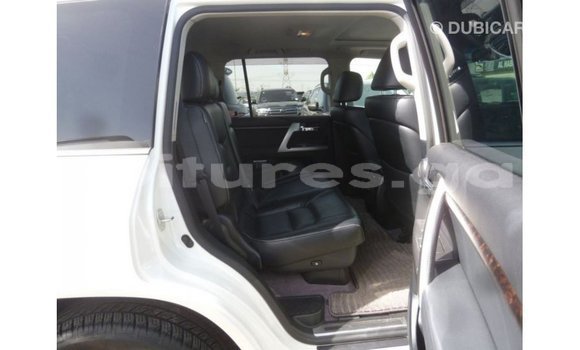 Buy Import Toyota Land Cruiser White Car in Import - Dubai in Estuary Buy Import Toyota Land Cruiser White Car in Import - Dubai in Estuary