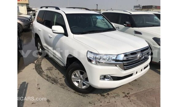 Sayi Imported Toyota Land Cruiser White Mota in Import - Dubai a estuary Sayi Imported Toyota Land Cruiser White Mota in Import - Dubai a estuary